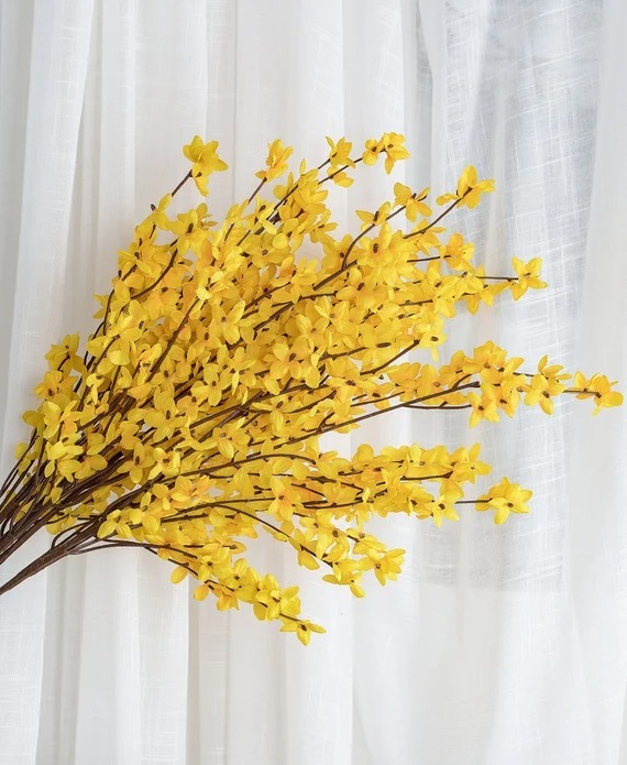 [BZRHD-WJ0800] Winter Jasmine/200/800