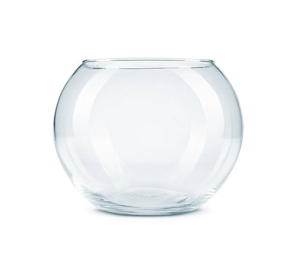 [BZRCS-215] Fish Bow (2903-13)