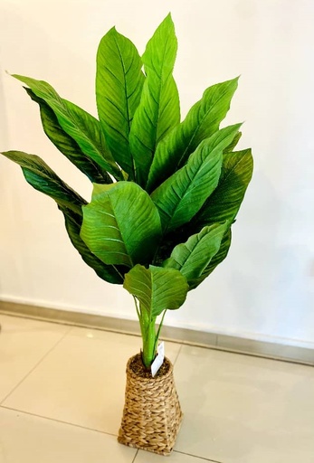 [BZRHD-AP0010] HE0261 Artificial Plant